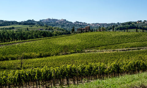 Montepulciano