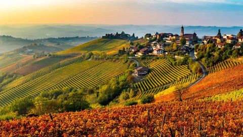 Barbaresco