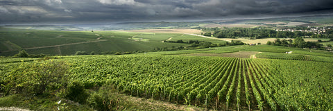 Chablis