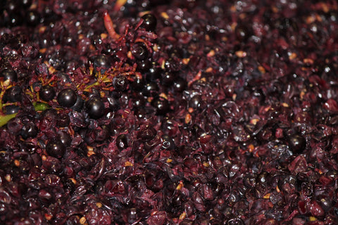 Pinot Nero
