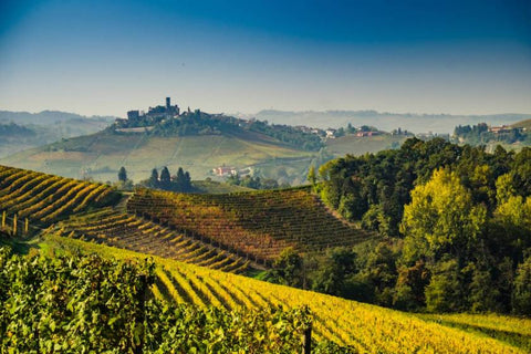 Vini Bianchi del Piemonte