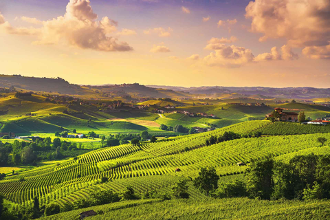 Barolo