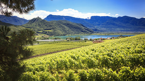 Spumanti Trentino Alto Adige