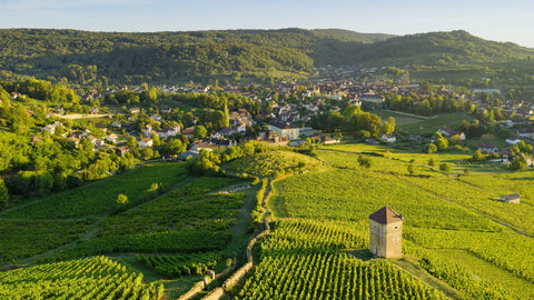 Vini Bianchi del Jura