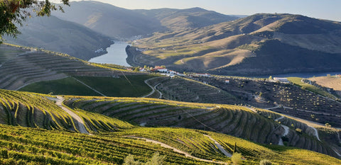 Vini Bianchi del Portogallo