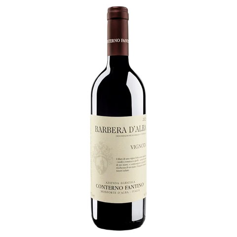 Barbera d'Alba Vignota 2023
