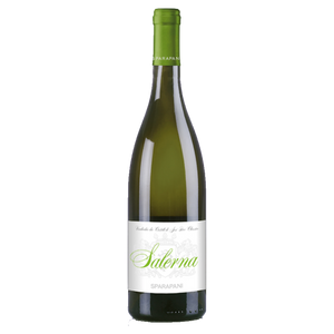 Salerna Verdicchio DOC Castelli di Jesi Classico 2022 | Sparapani Frati Bianchi