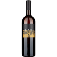 Ribolla Venezia Giulia Igt 2016 | Gravner