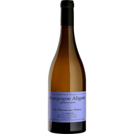 Bourgogne Aligotè classique 2022 | Domaine Sylvain Pataille