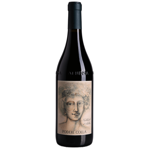 Nebbiolo d'Alba Drago 2023 | Poderi Colla