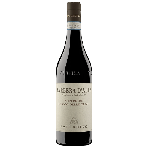 Barbera d'Alba Superiore Bricco delle Olive 2021 | Palladino
