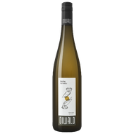 Riesling Fuchsentanz 2022 | Diwald