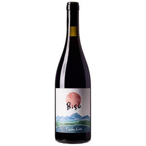 Vino Rosso Bisò 2020 | Cascina Lieto