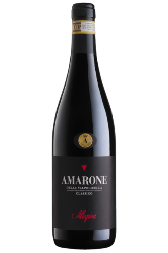 Amarone della Valpolicella 2020 | Allegrini