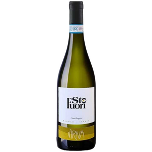Langhe Bianco "Sto Fuori" 2023 | Virna Borgogno